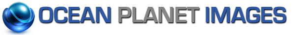 Ross Isaacs trading as- Ocean Planet Images/Ocean Planet 3D Pty Ltd
